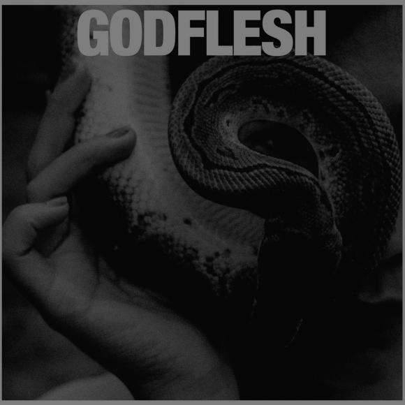 Obraz artykułu Godflesh - "Purge"