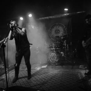 zdjęcie-1703 - obraz z galerii Dreadfest 2016