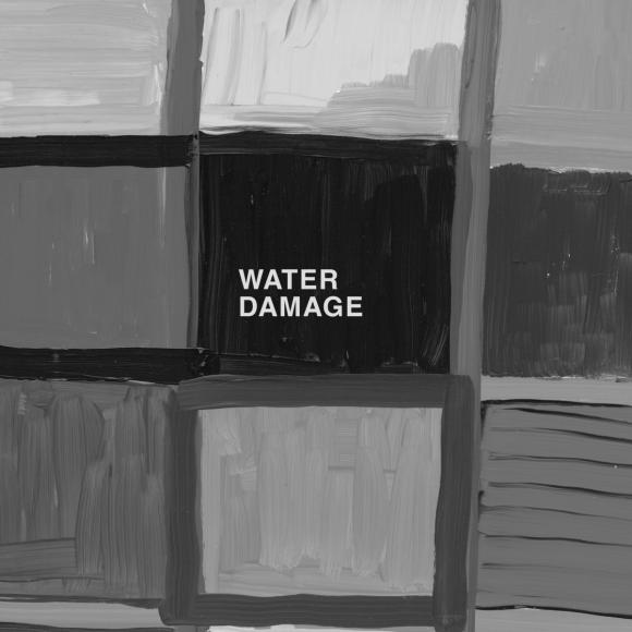 Obraz artykułu Water Damage - "In E"