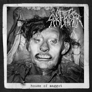 Okładka płyty House of Maggot/The Extent of The Putrescent Crawling Swarm's Digestion