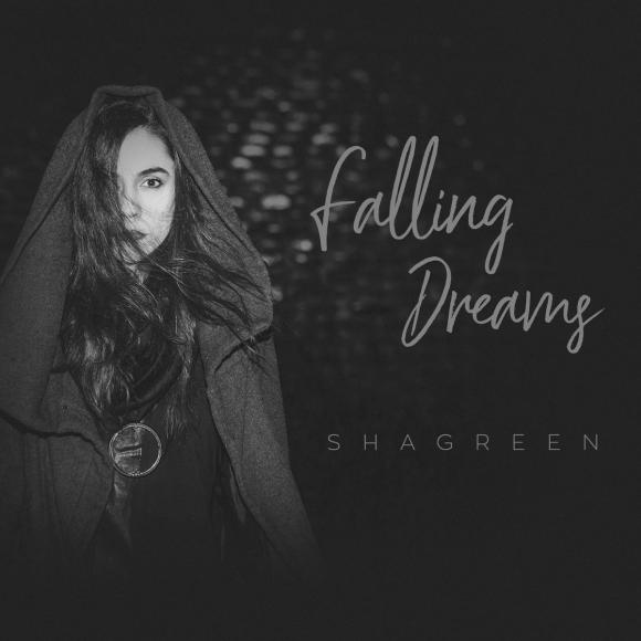 Obraz artykułu Shagreen - "Falling Dreams"