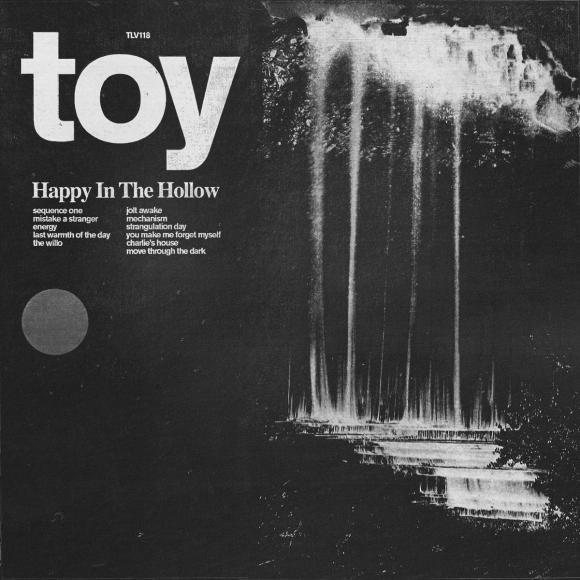 Obraz artykułu Toy - "Happy in the Hollow"