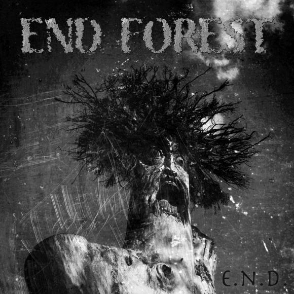 Obraz artykułu End Forest - "E.N.D."