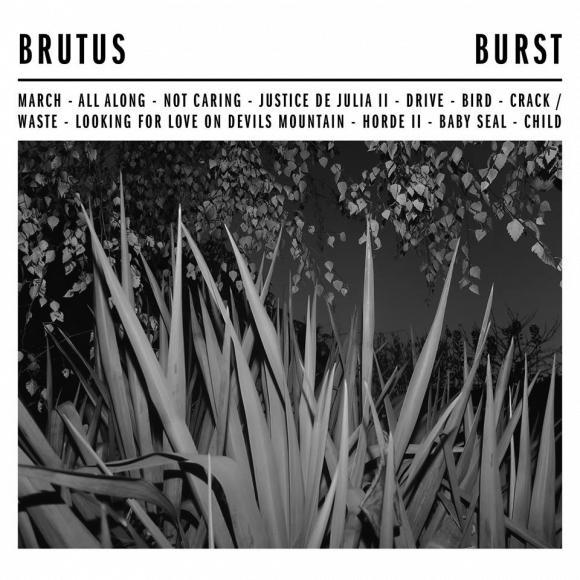 Obraz artykułu Brutus - "Burst"