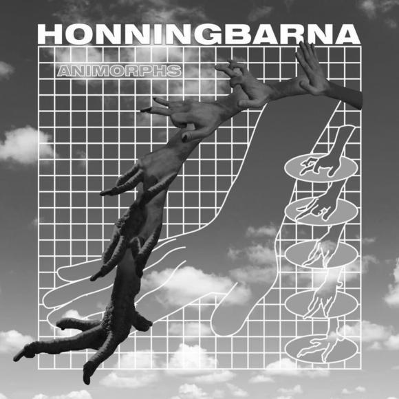 Obraz artykułu Honningbarna - "Animorphs"